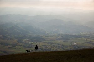 lady with dog standing on hill